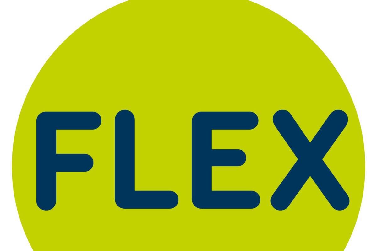 Logo FLEX
