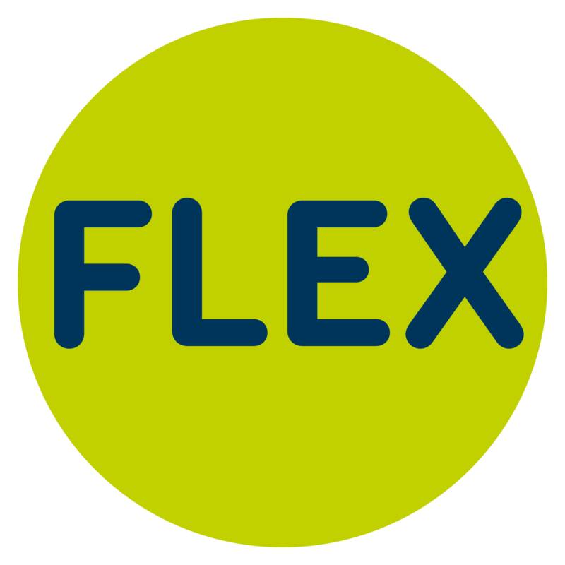 Logo FLEX